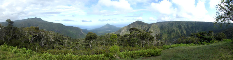 Macchabee Forest View Point