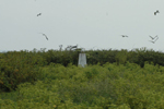 trig point